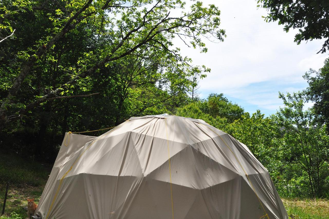 Geodome - Lugar Das Varzeas Pracerias Buitenkant foto