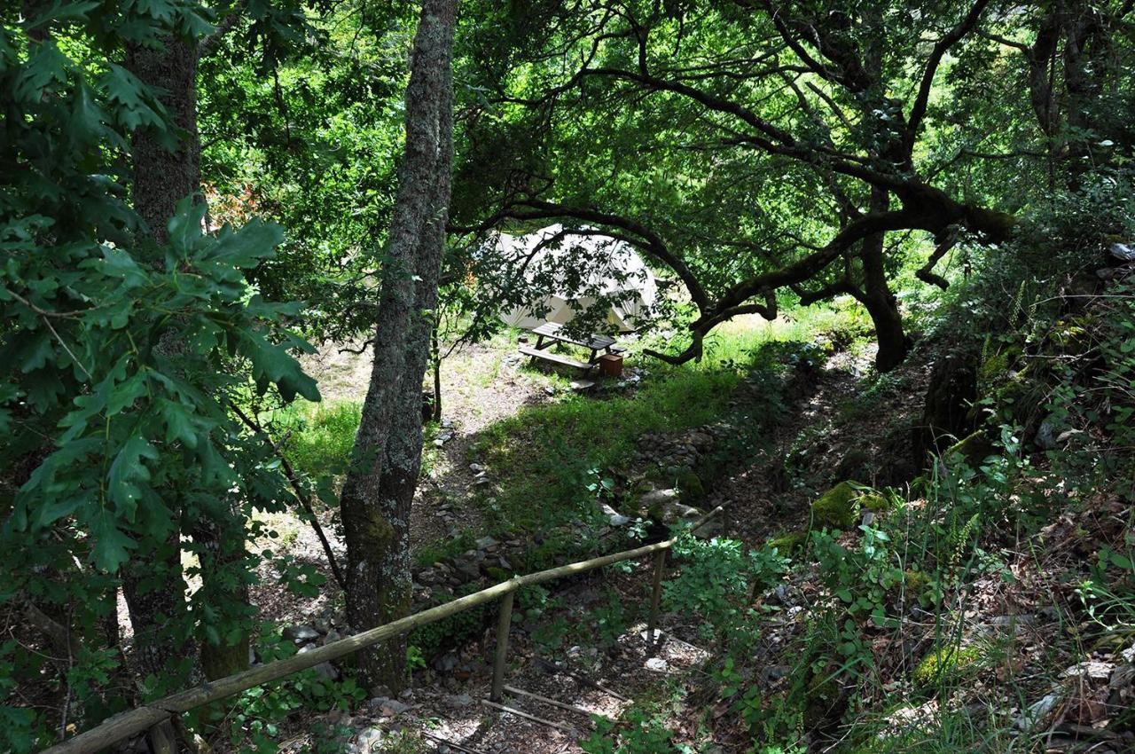 Geodome - Lugar Das Varzeas Pracerias Buitenkant foto